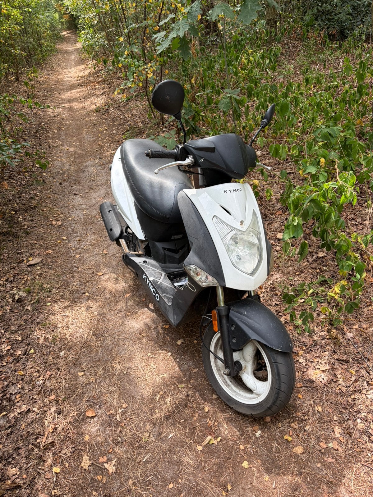 Kymco agility 50, Ophalen, Gebruikt, Maximaal 45 km/u, 50 cc