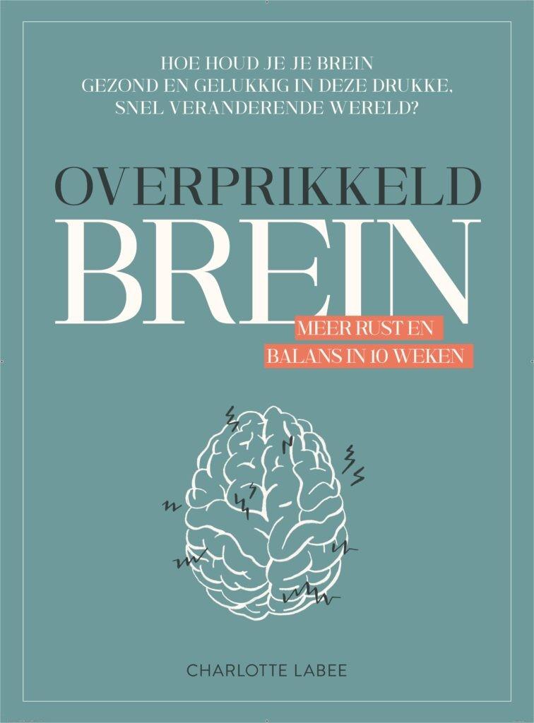 Overprikkeld brein - Charlotte Labee, Ophalen of Verzenden, Zo goed als nieuw