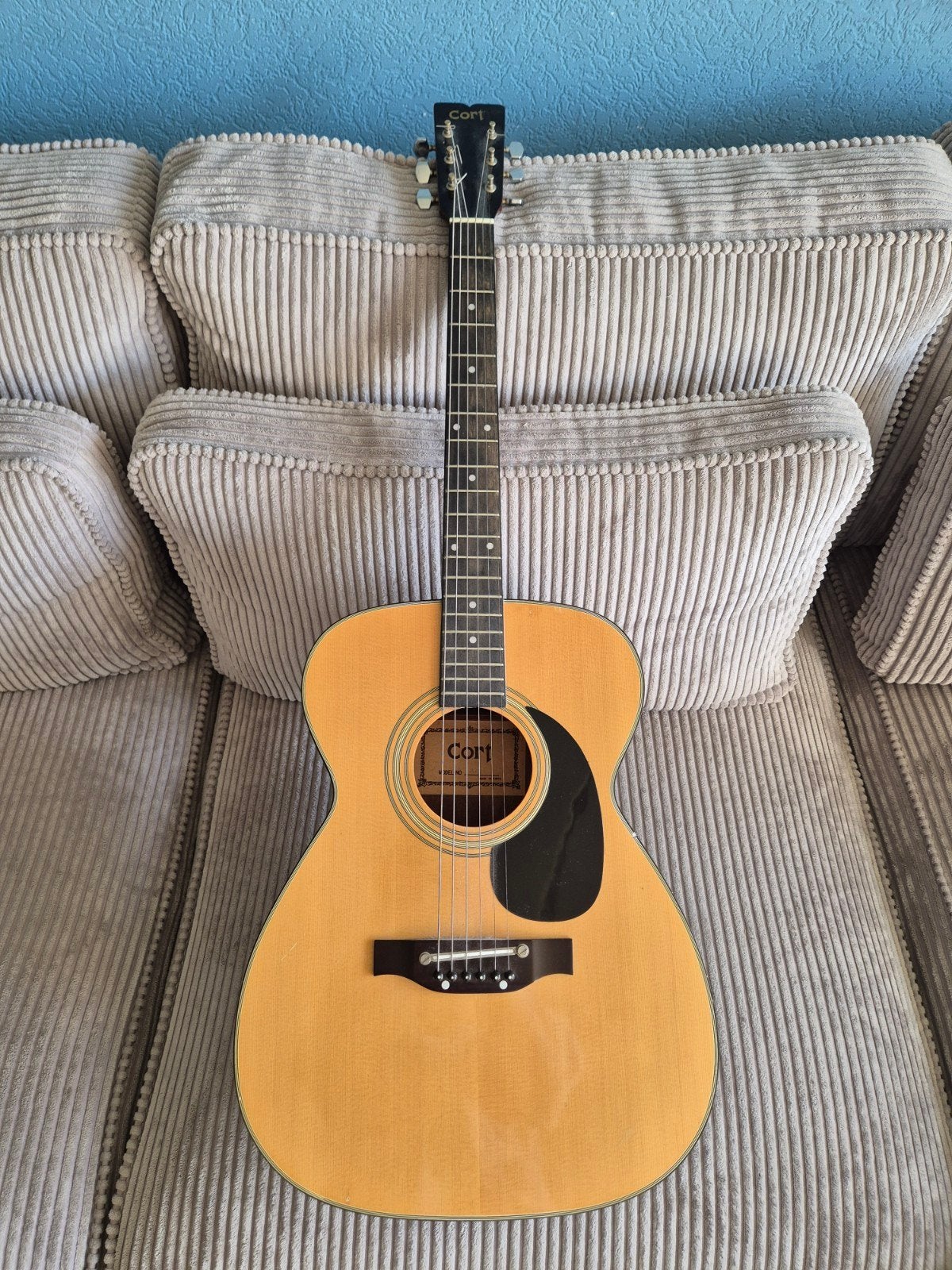 Cort gitaar, Ophalen, Gebruikt, Klassieke of Spaanse gitaar