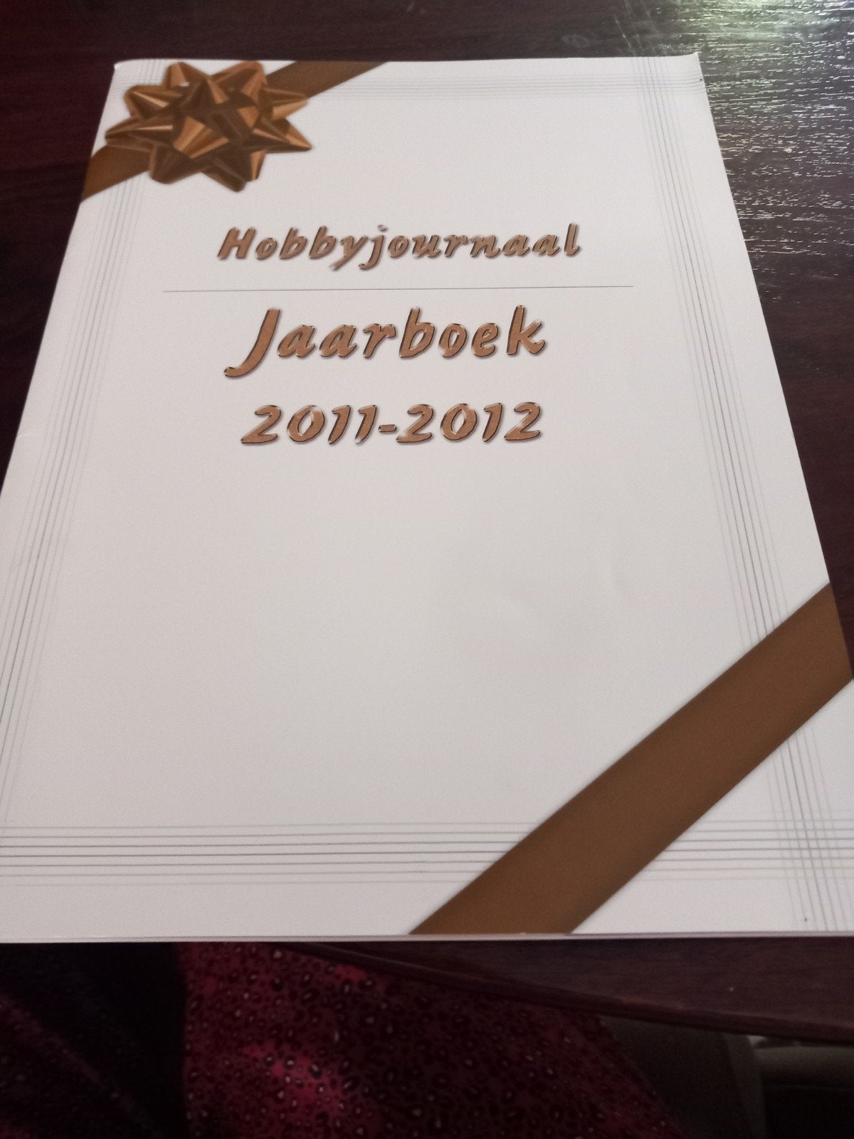 Hobbyjournaal 2011/2012, Ophalen of Verzenden, Zo goed als nieuw, Kerst, Pons of Mal