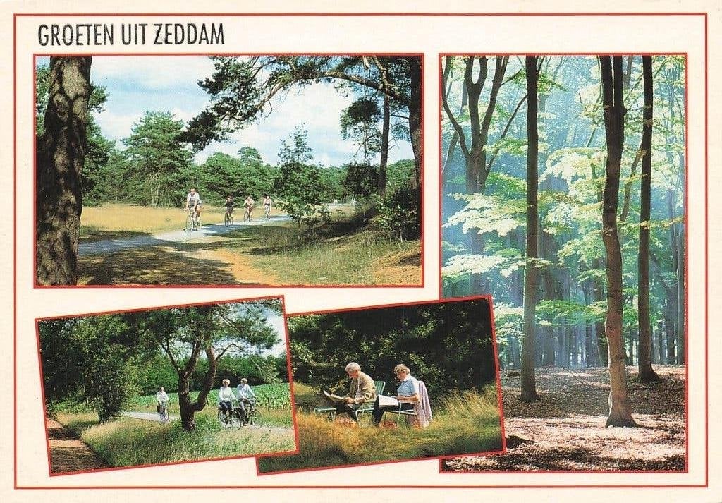 Groeten uit Zeddam, Ophalen of Verzenden, 1980 tot heden, Gelopen, Gelderland