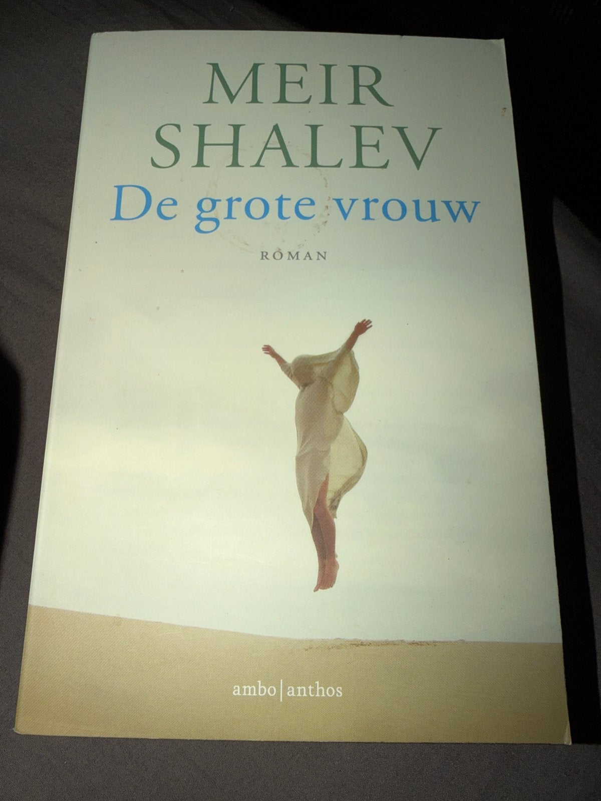S2.   Meir Shalev - De grote vrouw, Ophalen of Verzenden, Zo goed als nieuw, Meir Shalev