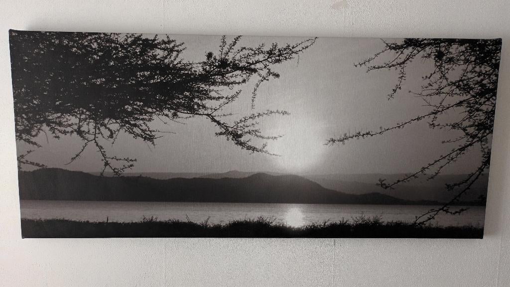 foto op linnen, Ophalen, Oorspronkelijke maker, 125 cm of meer, Zo goed als nieuw