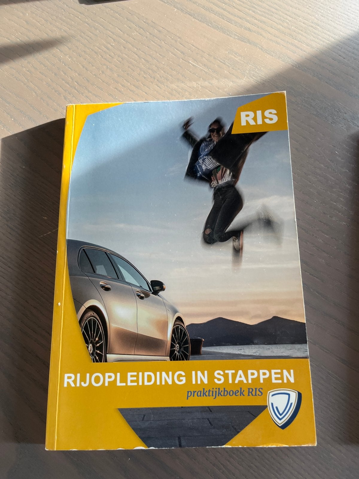 Rijopleiding in Stappen (RIS) Praktijkboek, Boeken, Ophalen of Verzenden, Zo goed als nieuw, Niet van toepassing