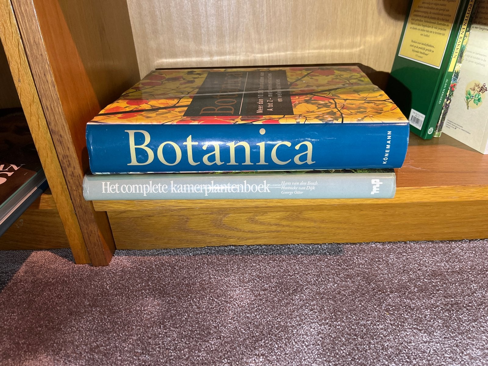 Botanica & Het complete kamerplantenboek, Boeken, Natuur, Gelezen, Bloemen, Planten en Bomen, Ophalen