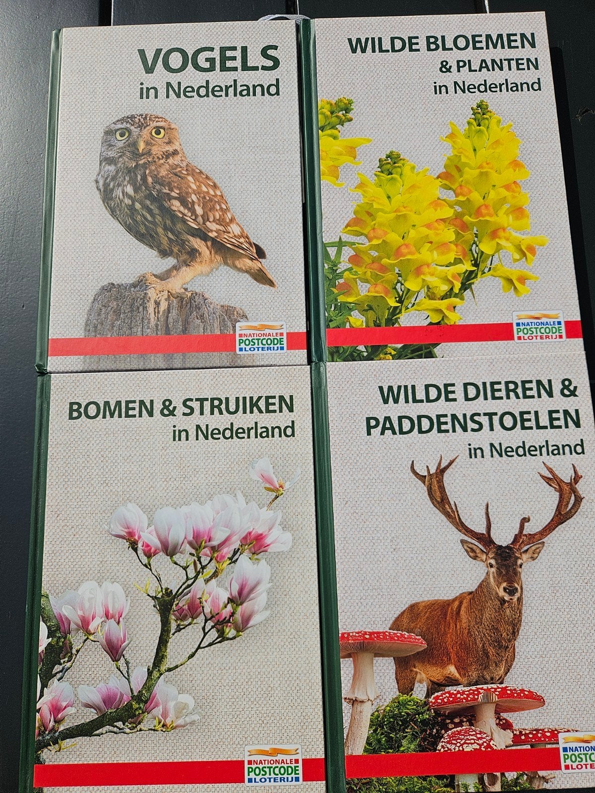 Natuurboeken Nederland: Vogels, Bloemen, Bomen, Dieren, Ophalen of Verzenden, Zo goed als nieuw, Natuur algemeen, Diverse auteurs