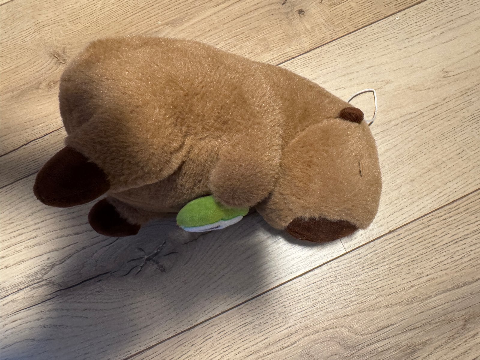 Schattige Capibara Knuffel - Zacht en Knuffelbaar, Ophalen, Nieuw, Bruin, Overige typen