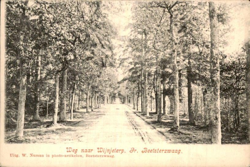 Heetzerzwaag - Weg Naar Wijnjeterp - Dr Beetserzwaag, Verzamelen, Ansichtkaarten | Nederland, Ophalen of Verzenden, Voor 1920