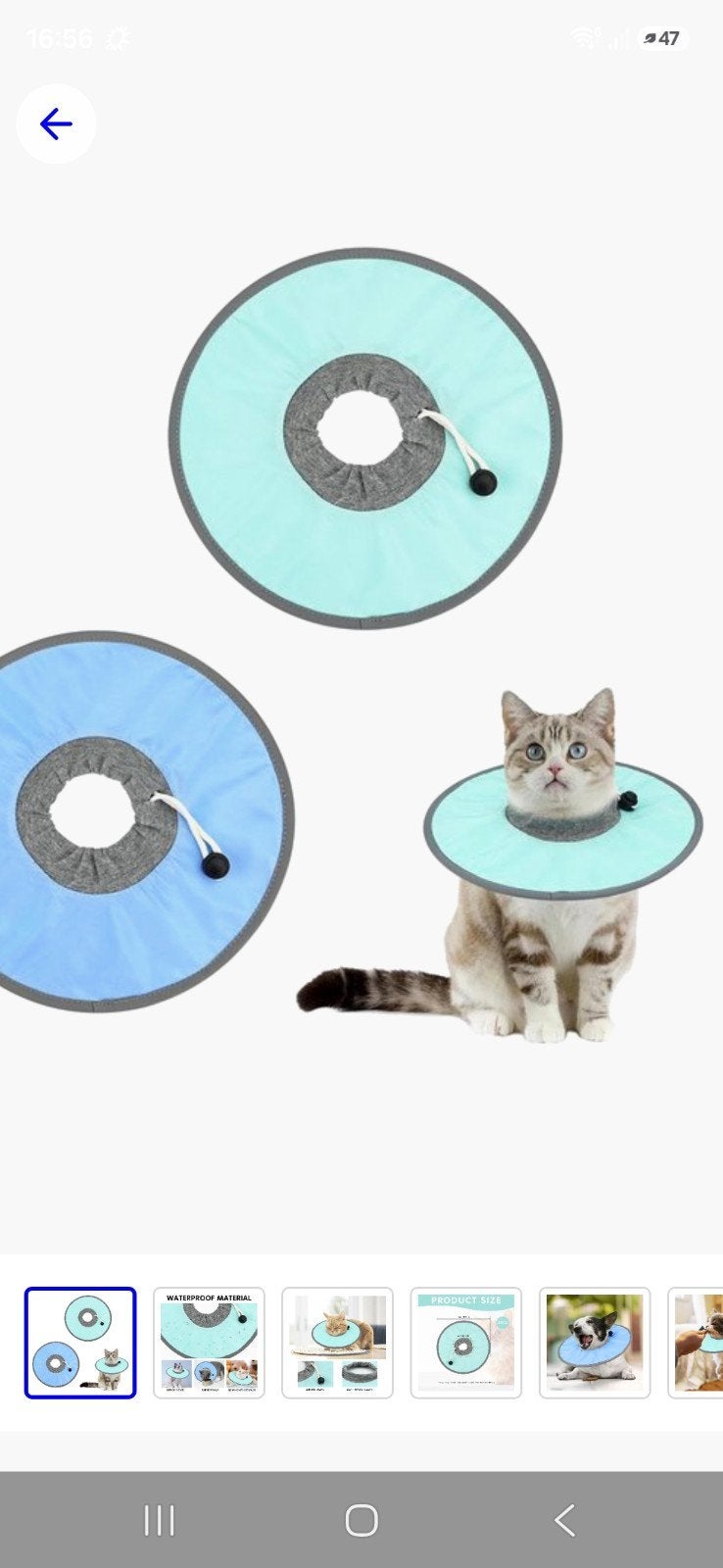 Kattenkraag, Dieren en Toebehoren, Ophalen of Verzenden, Nieuw