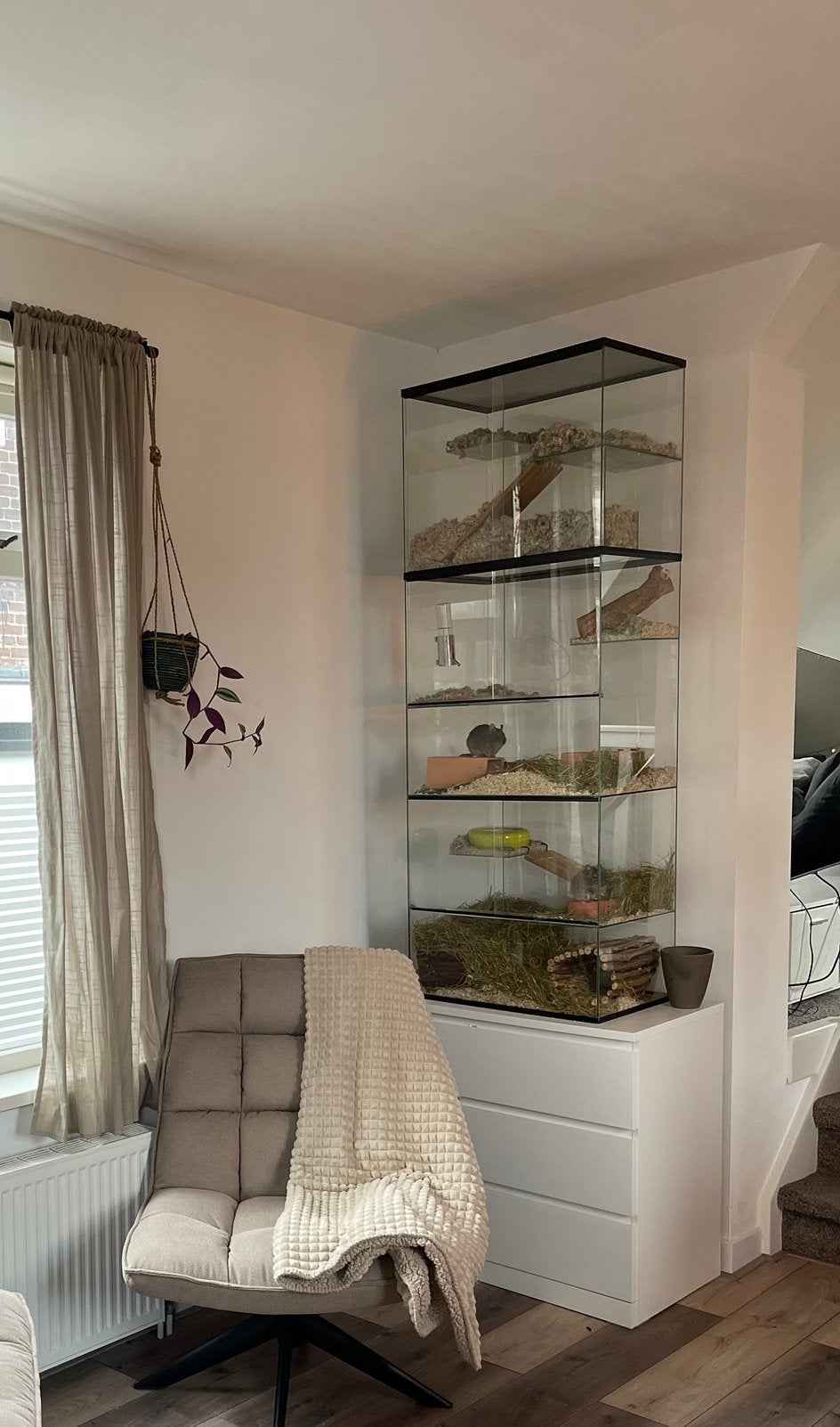 Ruim 3laags glazen knaagdierenterrarium; flexibele indeling!, Dieren en Toebehoren, Knaagdieren en Konijnen | Hokken en Kooien