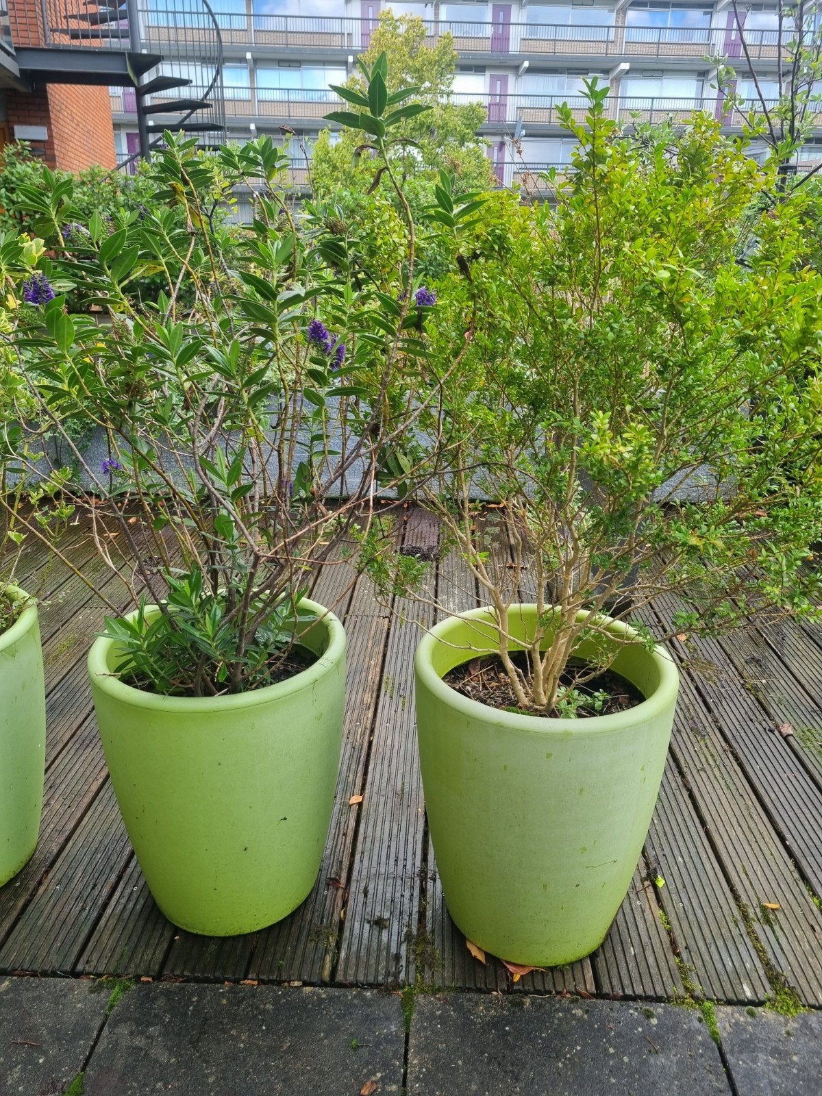 Grote groene bloempotten voor buiten, Ophalen, Kunststof, Gebruikt, Minder dan 60 cm