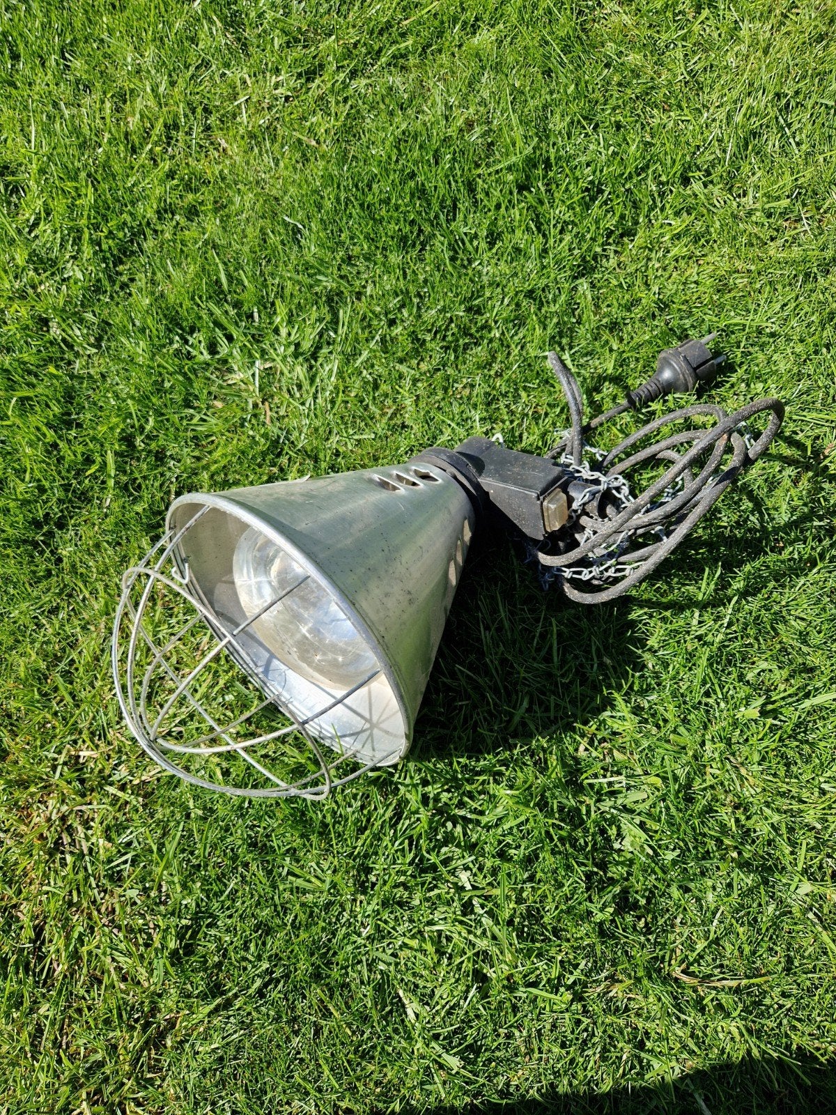 Warmtelamp, Ophalen
