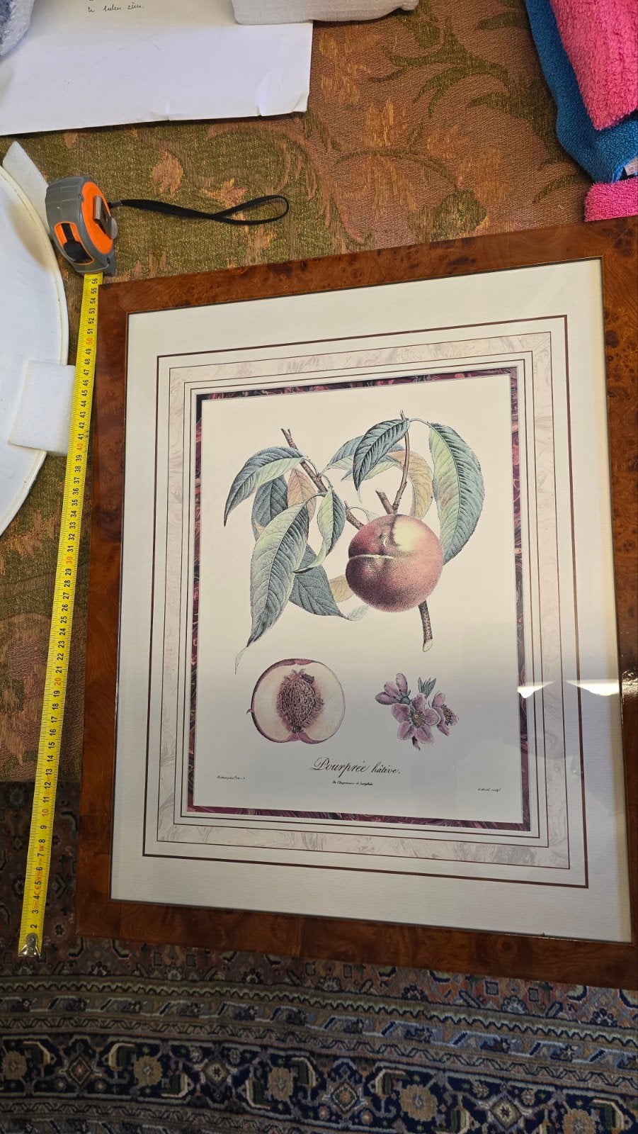 vintage fruit prenten, Ophalen of Verzenden