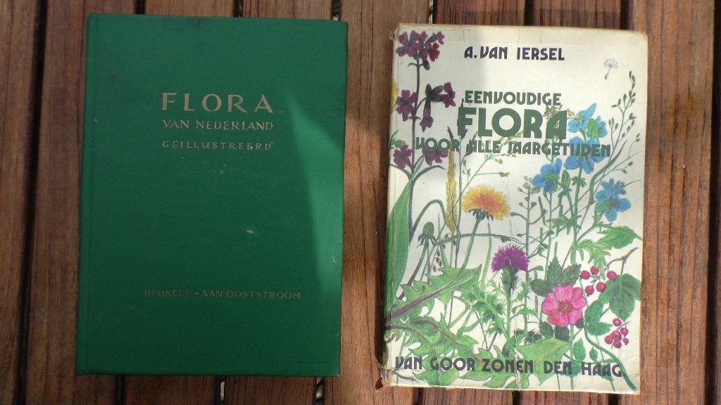 Flora van Nederland, Bloemen, Planten en Bomen, Diverse auteurs, Ophalen of Verzenden, Zo goed als nieuw