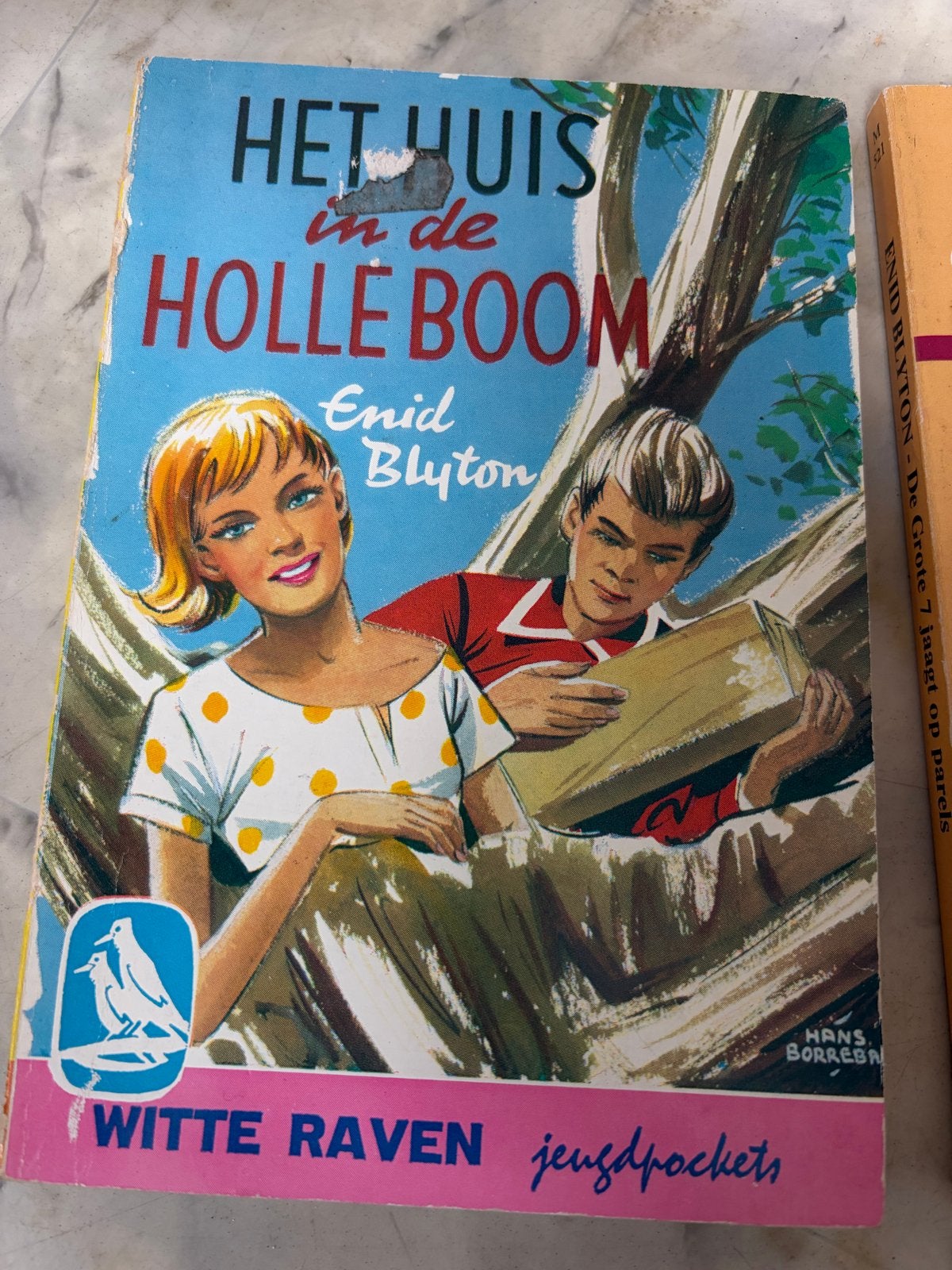 Het Huis in de Holle Boom - Enid Blyton, Boeken, Ophalen of Verzenden, Gelezen, Fictie
