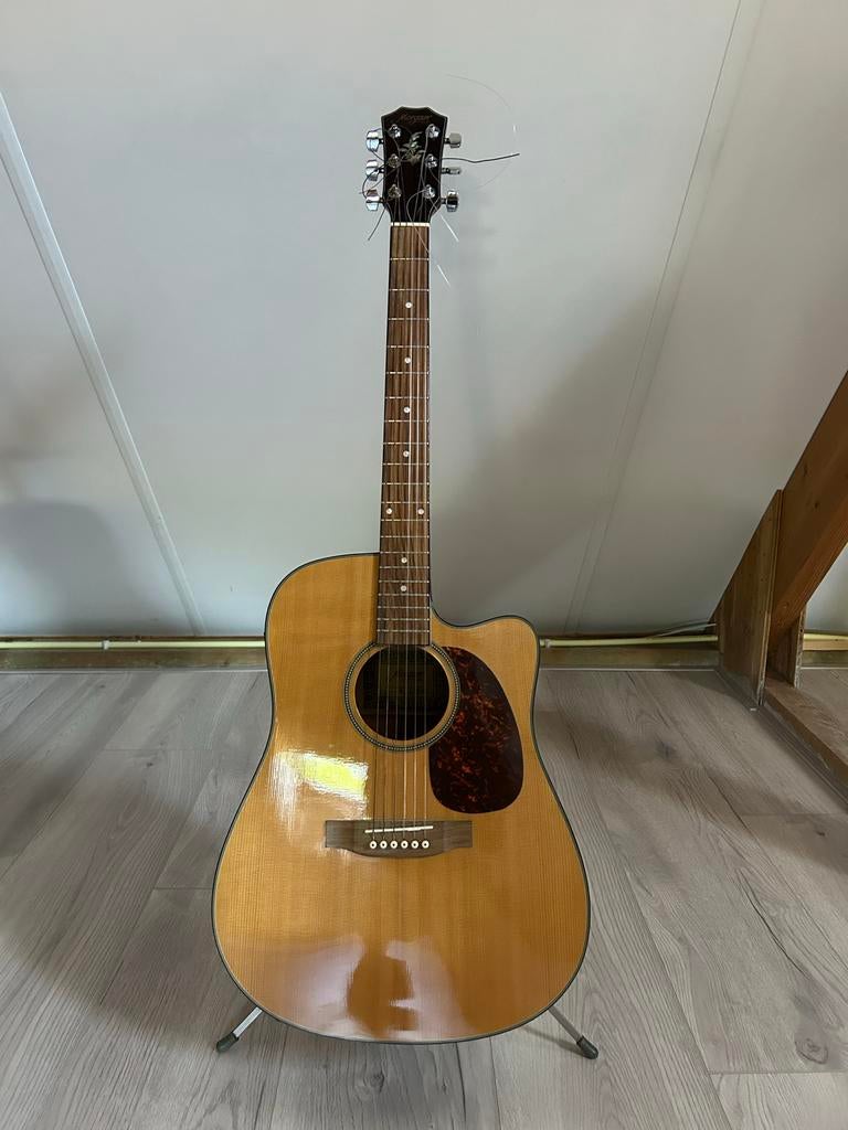 Semi akoestische gitaar Morgan, Muziek en Instrumenten, Snaarinstrumenten | Gitaren | Akoestisch, Ophalen, Gebruikt, Western- of Steelstringgitaar