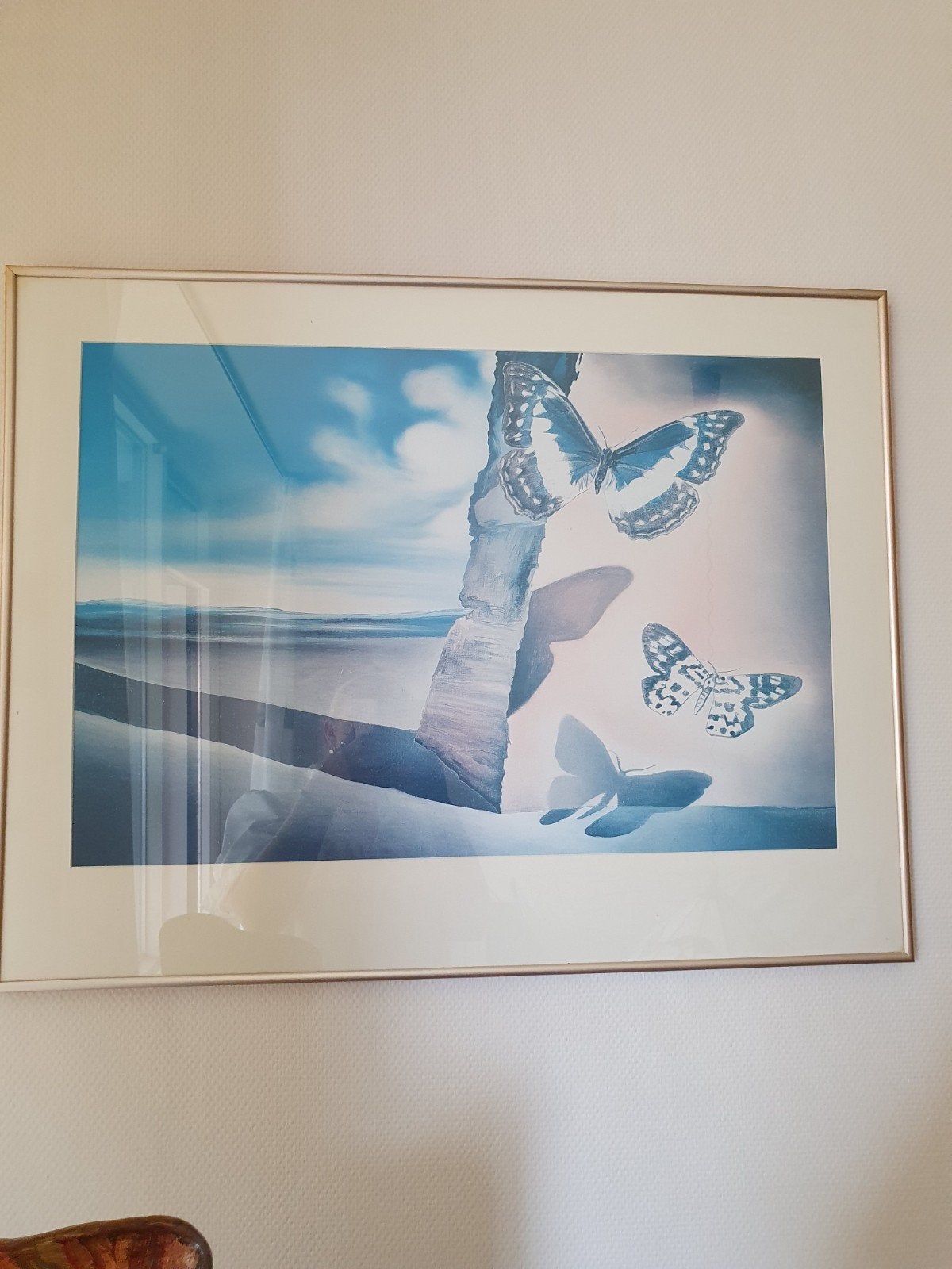 Ingelijste print met vlinders en landschap, Antiek en Kunst, Papier/karton, Print, Achter glas, Landschap