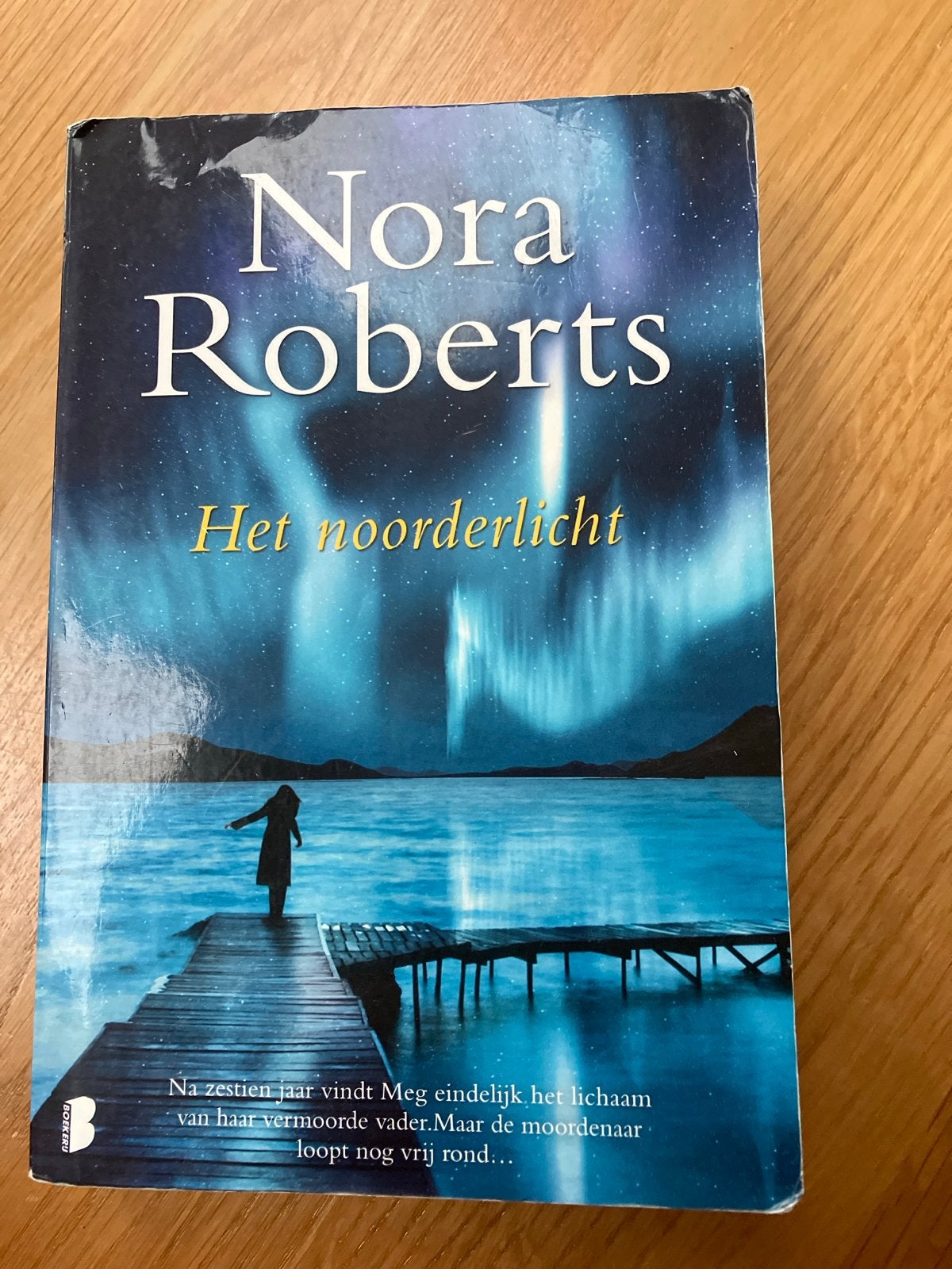 Nora Roberts - De schuilplaats, Ophalen of Verzenden, Zo goed als nieuw, Nora Roberts