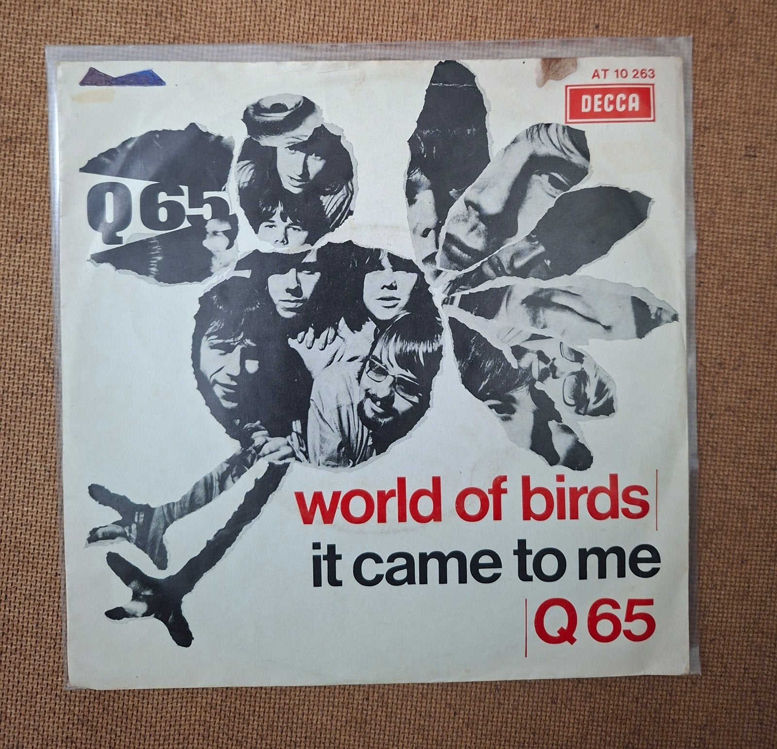 Q 65 - World of birds - Single is TOP, Cd's en Dvd's, Vinyl Singles, Ophalen of Verzenden, Gebruikt, 7 inch, Pop