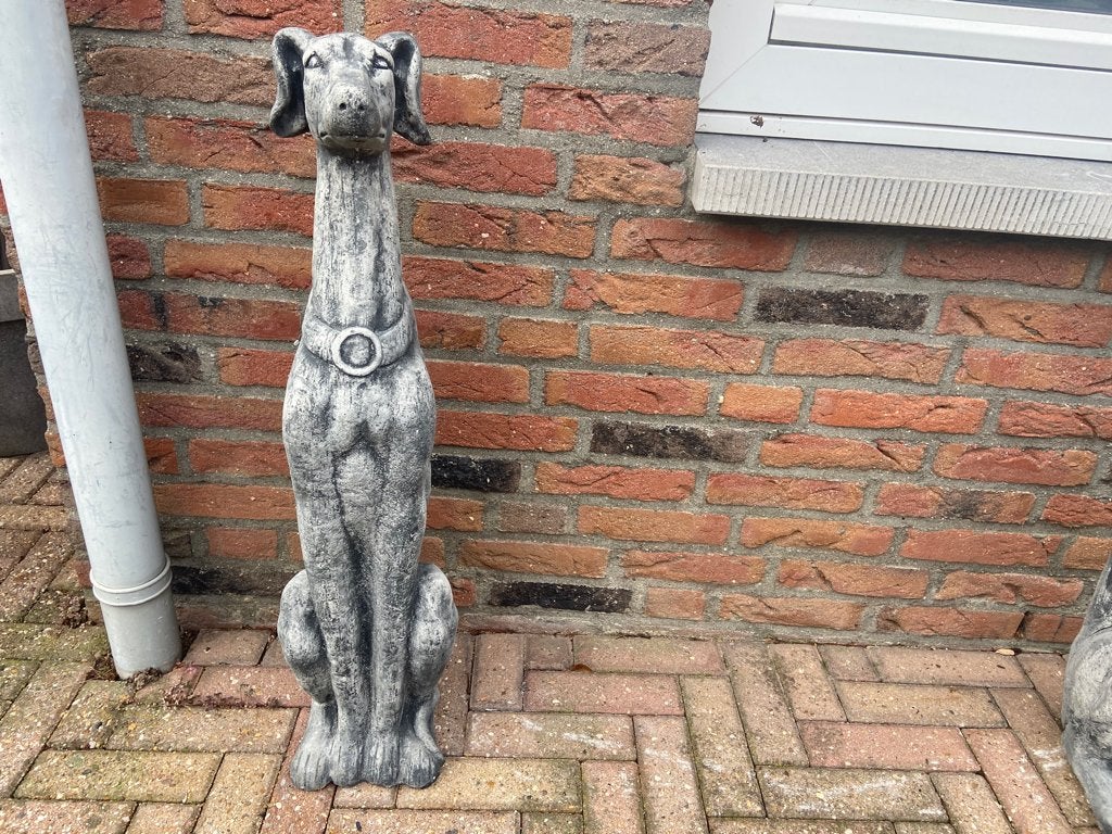 Whippet , Windhond , Greyhound, Ophalen, Nieuw, Beton, Dierenbeeld