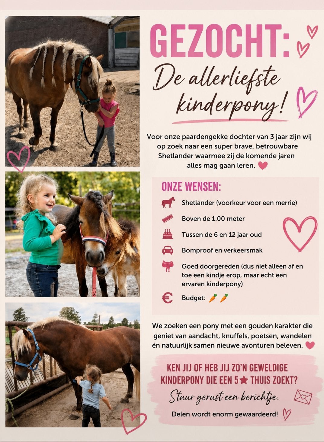 Gezocht droompony, Dieren en Toebehoren, Paarden en Pony's | Overige Paardenspullen, Ophalen of Verzenden