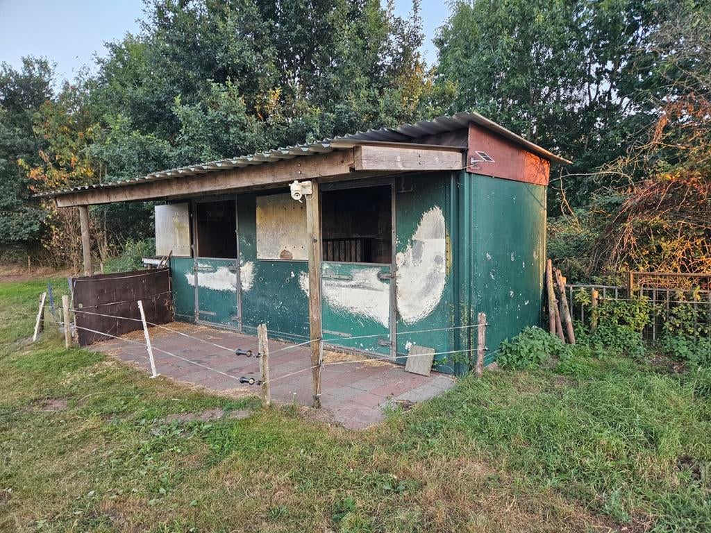 GRATIS Stalcontainer 6x2,5m, Stalling, 2 of 3 paarden of pony's