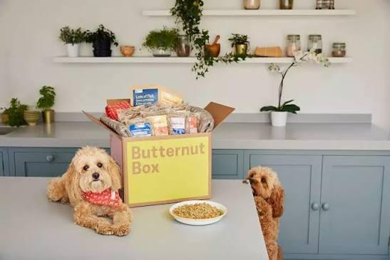 60 en 30 procent korting op Butternutbox hondenvoer, Ophalen of Verzenden, Hond