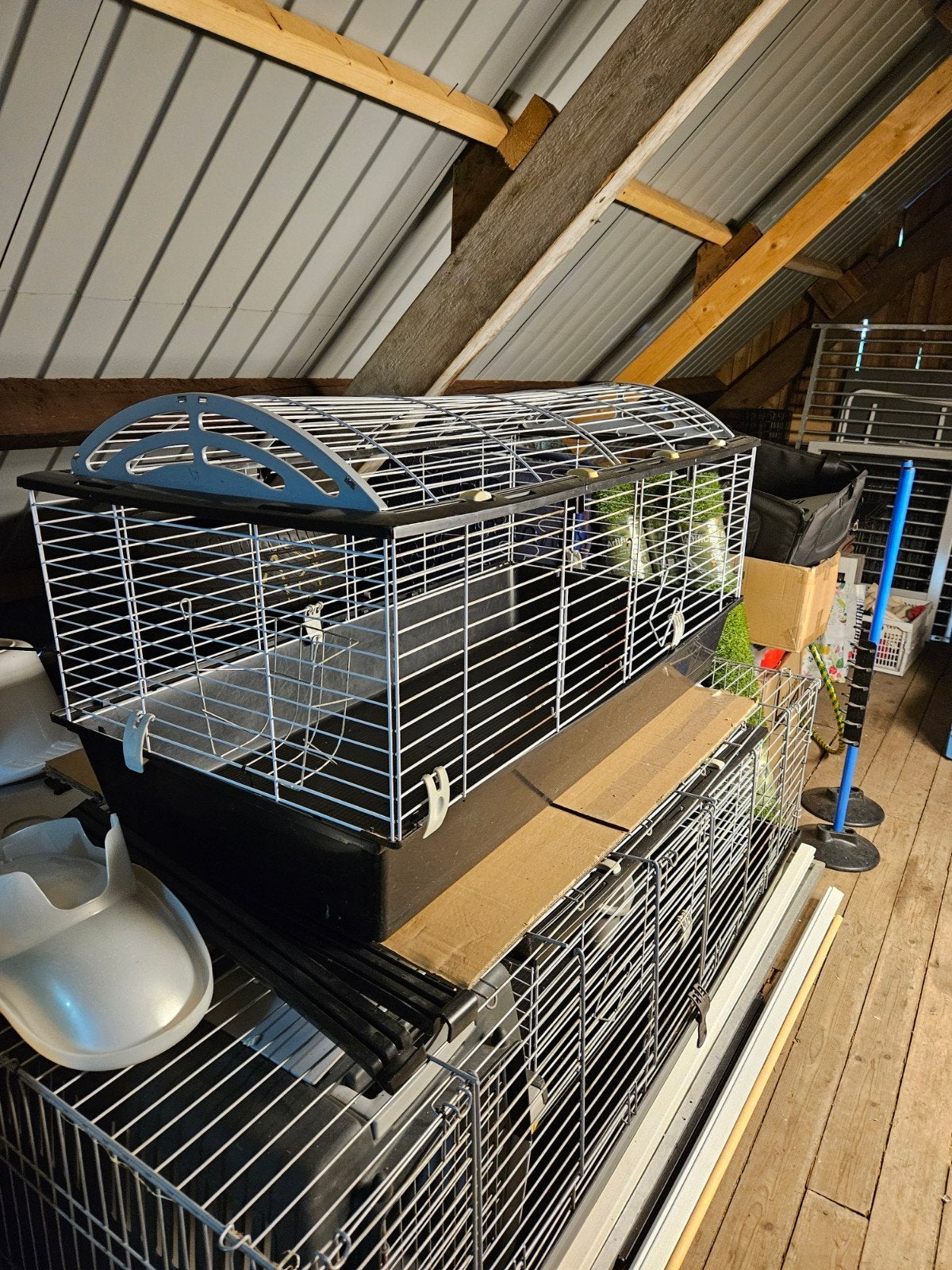 Kooi cavia's of konijnen, Kooi, Gebruikt, 75 tot 110 cm, Cavia
