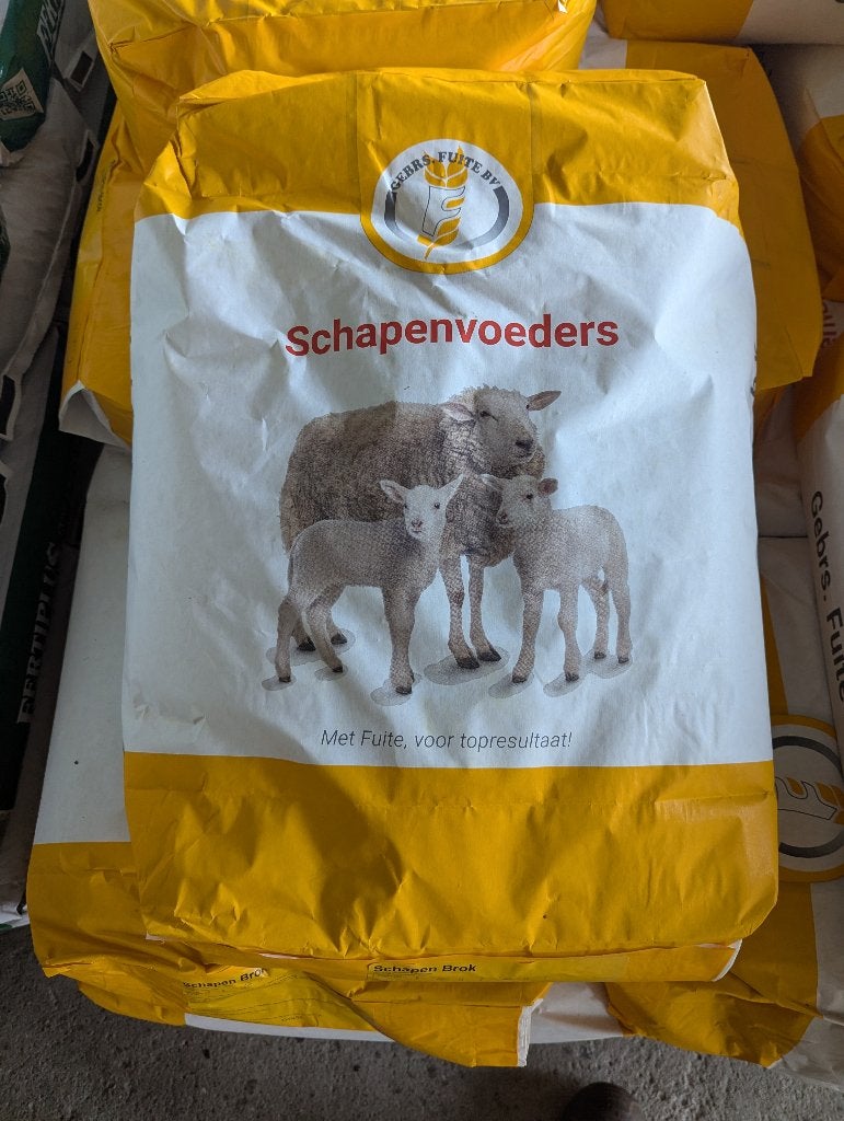 schapenbrokken, Meerdere dieren, Schaap
