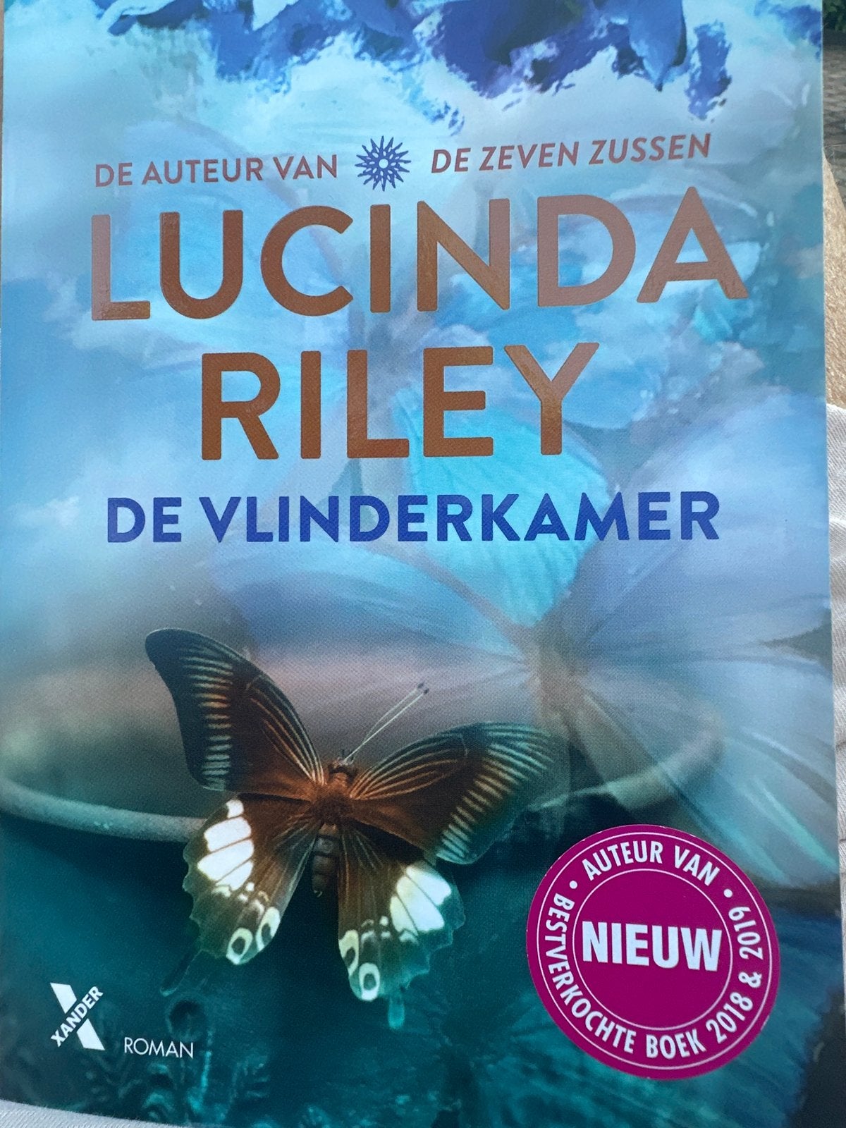 Lucinda Riley - De Vlinderkamer (Roman), Boeken, Romans, Ophalen of Verzenden, Zo goed als nieuw, Europa overig