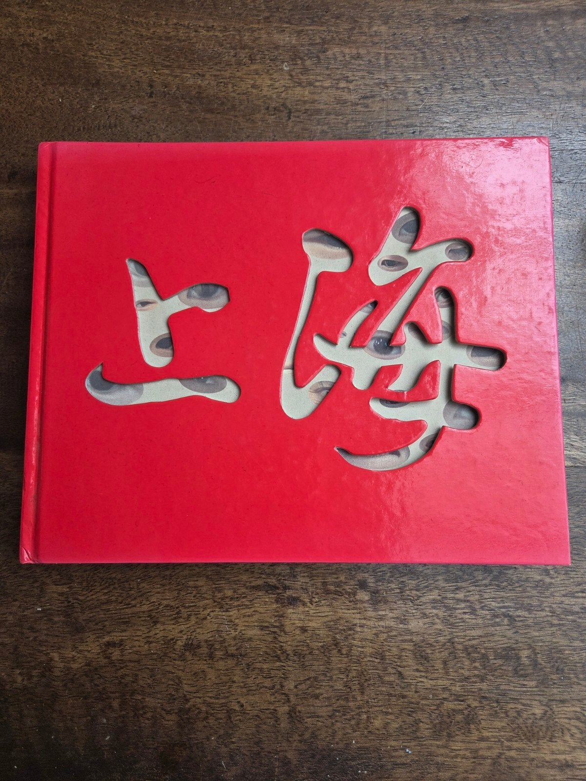 Fotoboek: Shanghai: Van West en Oost Oud en Nieuw Fotoboek, Ophalen of Verzenden, Gelezen, Fotografie algemeen
