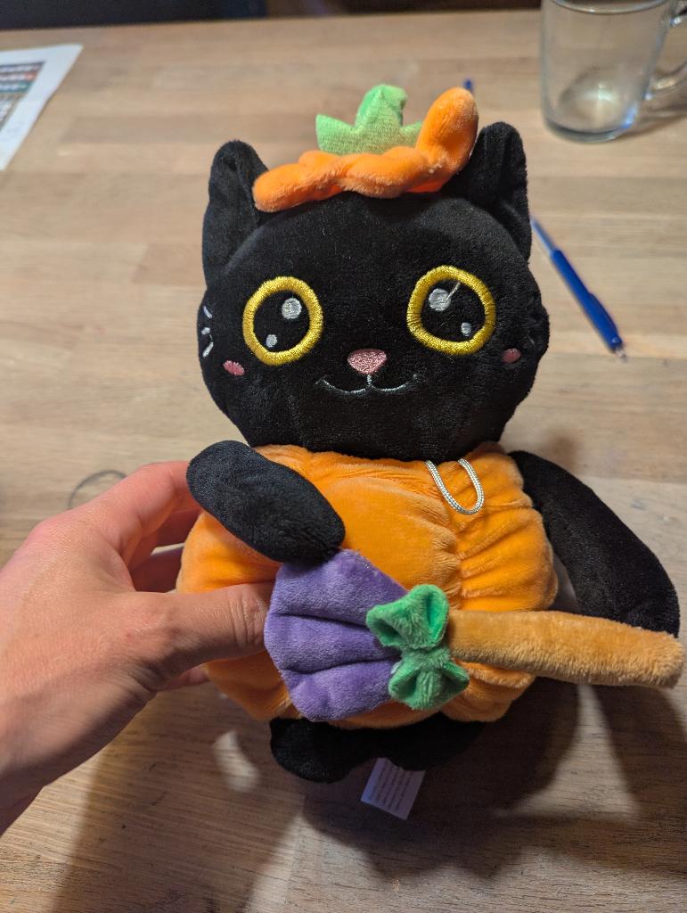 knuffel poes, Kinderen en Baby's, Speelgoed | Knuffels en Pluche, Ophalen of Verzenden, Zo goed als nieuw, Middelgroot (20 tot 80 cm)