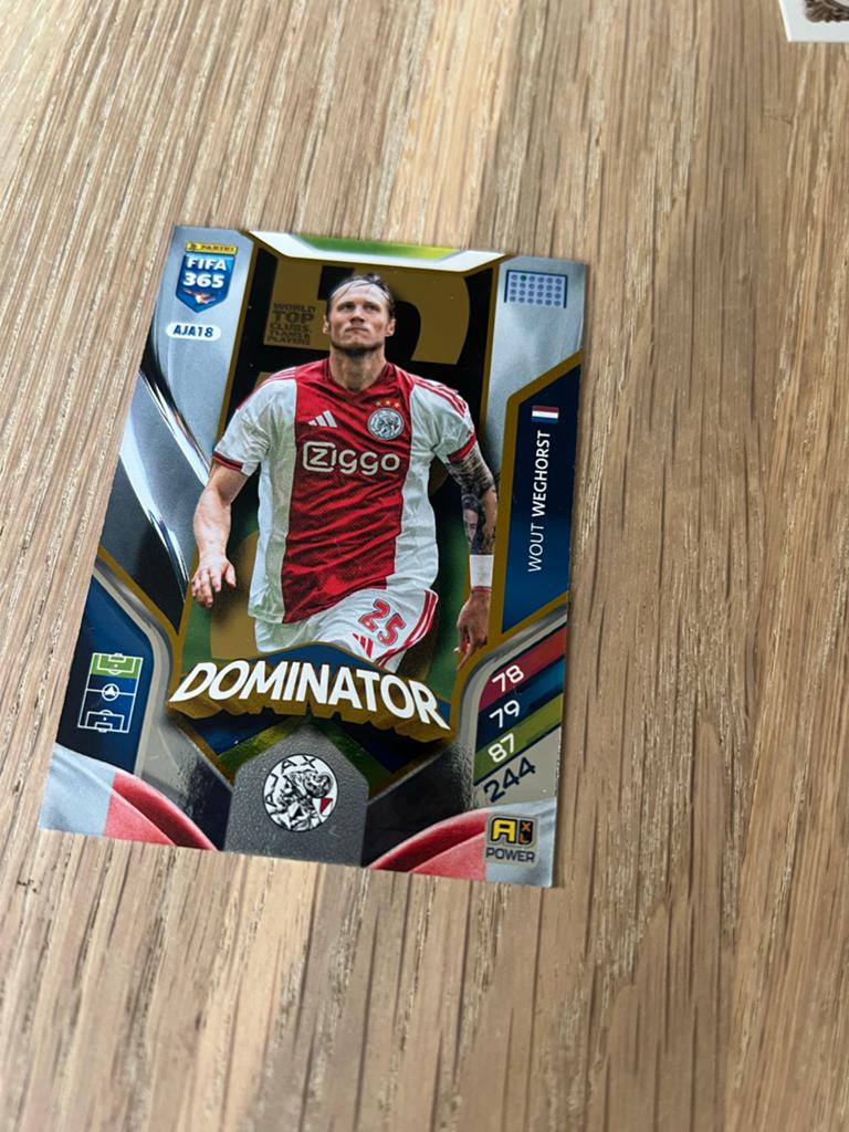 Wout Weghorst FIFA 365 Dominator Spelerskaart, Ophalen of Verzenden, Zo goed als nieuw, Ajax, Spelerskaart