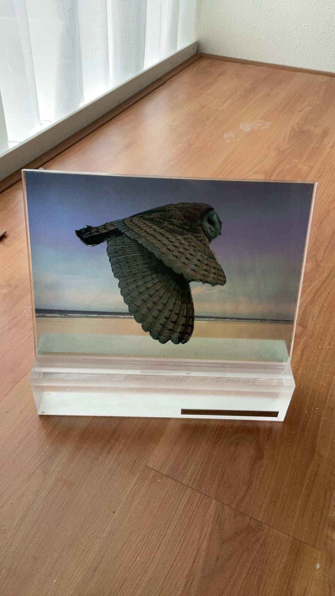 Lijst van plexiglas met afbeelding van een uil, Huis en Inrichting, Ophalen, Zo goed als nieuw, Minder dan 50 cm