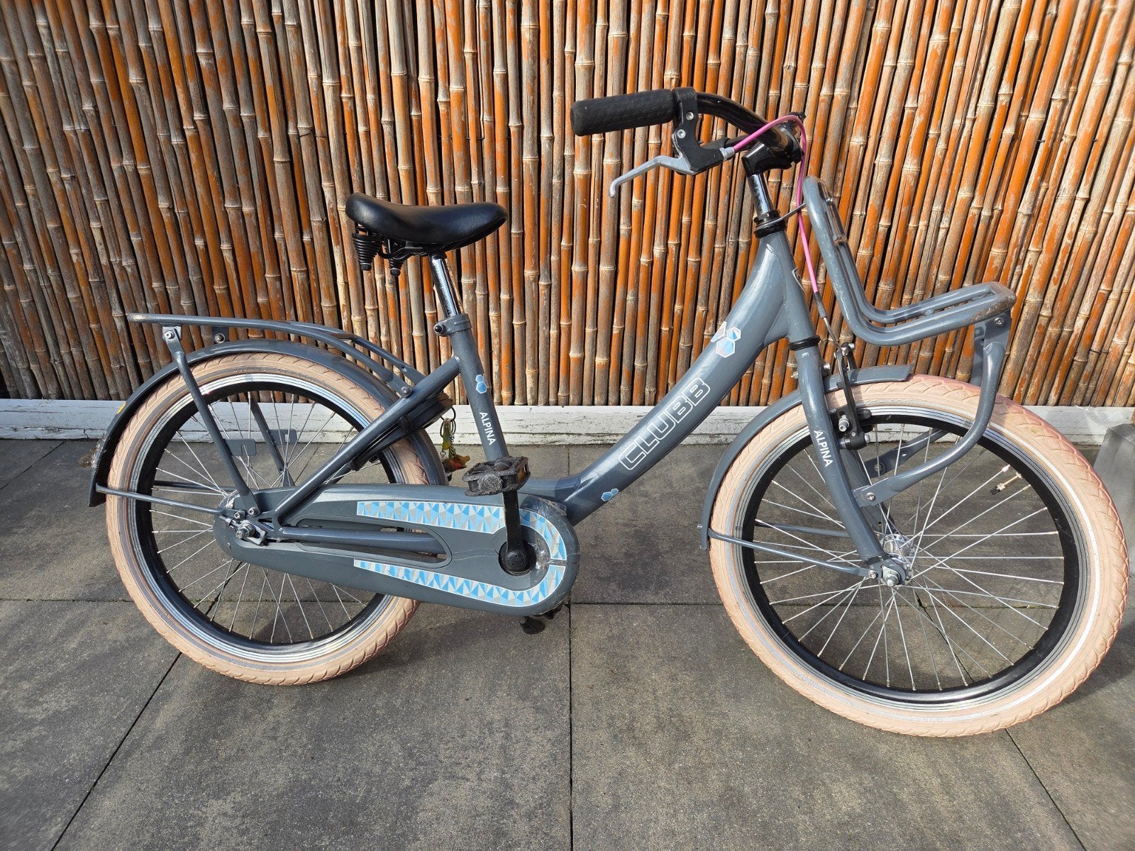 Alpina Clubb kinderfiets 20 inch grijs, Fietsen en Brommers, Ophalen, Terugtraprem, Alpina Clubb, Gebruikt
