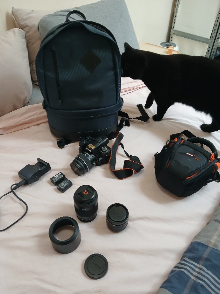 Sony Alpha SLT-A37, Gebruikt, Spiegelreflex, Sony, Geheugenkaart