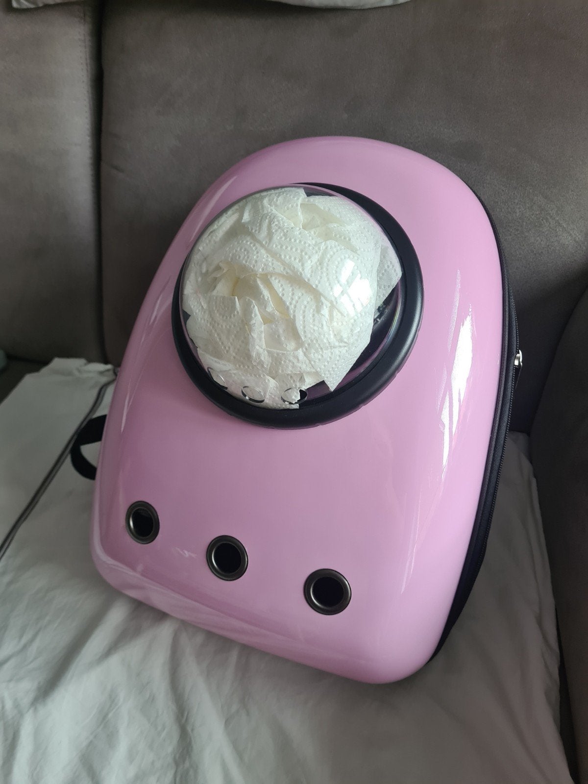 Roze kattenrugzak met een transparante 'bubbel'-venster, Ophalen of Verzenden, Zo goed als nieuw