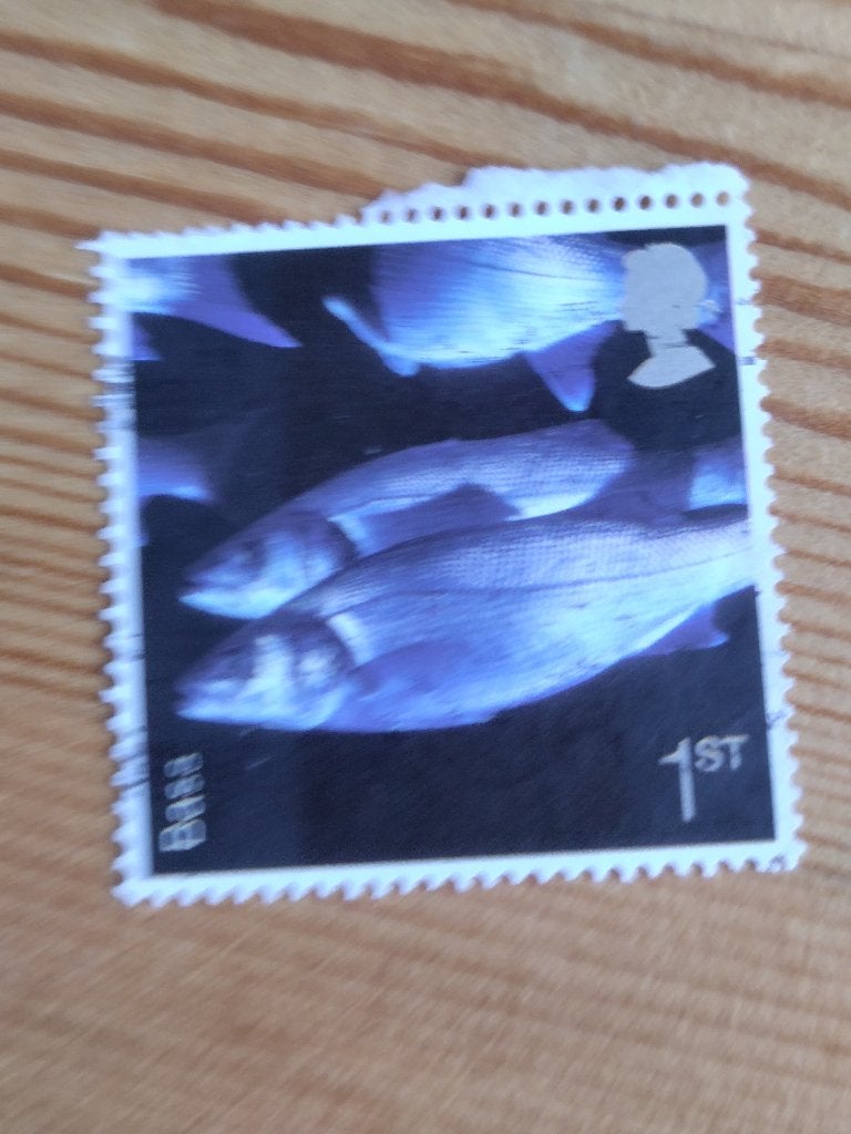 Engeland recent 2007 Sea Life Bass (vissen), Ophalen of Verzenden, Gestempeld