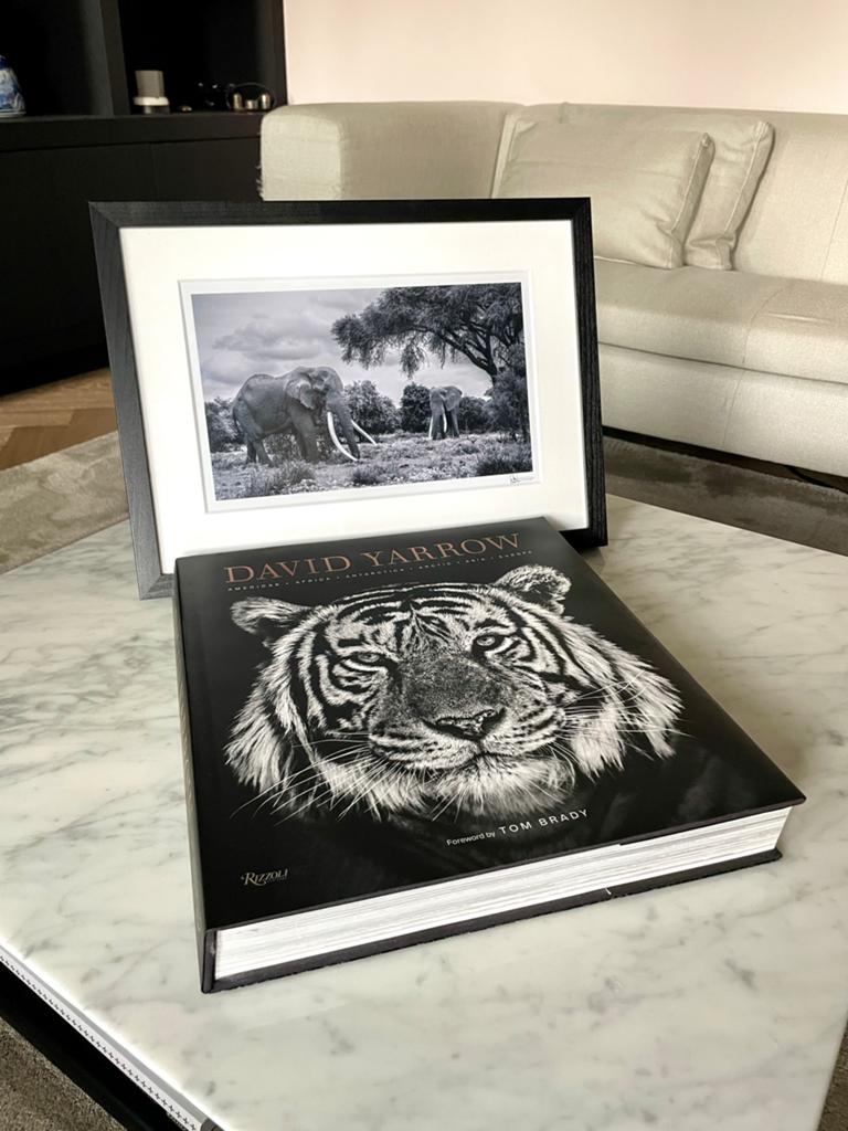 David Yarrow Photography + officiële fotoprint - gesigneerd, Ophalen, Overige typen, Tom Brady, Zo goed als nieuw