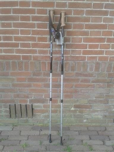 Nordic walking poles. Hikers loopstokken, Sport en Fitness, Bergsport en Wandelen, Ophalen of Verzenden, Nieuw, Schoenen