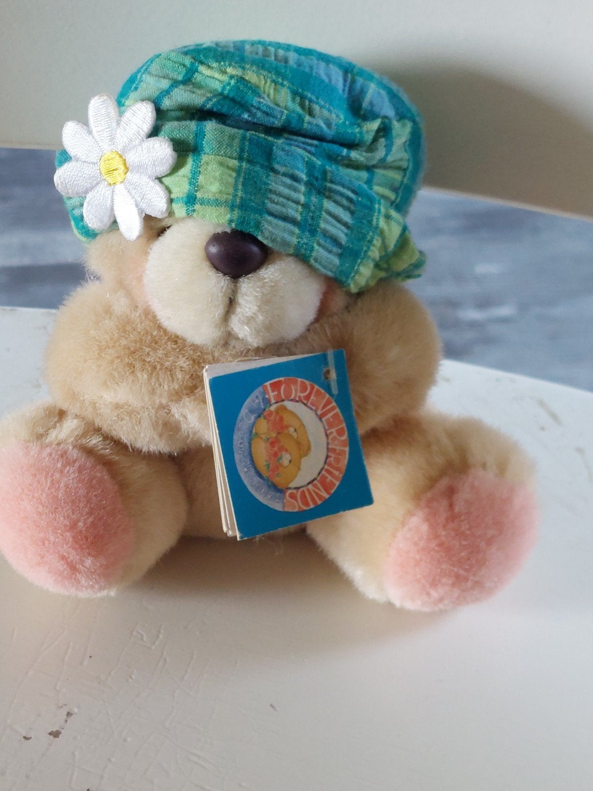Forever Friends beertje met hoedje en boekje, Verzamelen, Beren en Cherished Teddies, Ophalen of Verzenden, Zo goed als nieuw