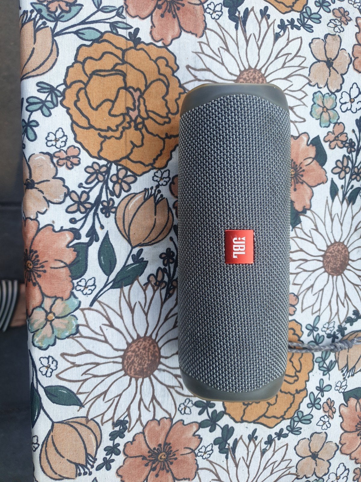 Jullie flip 5 speaker