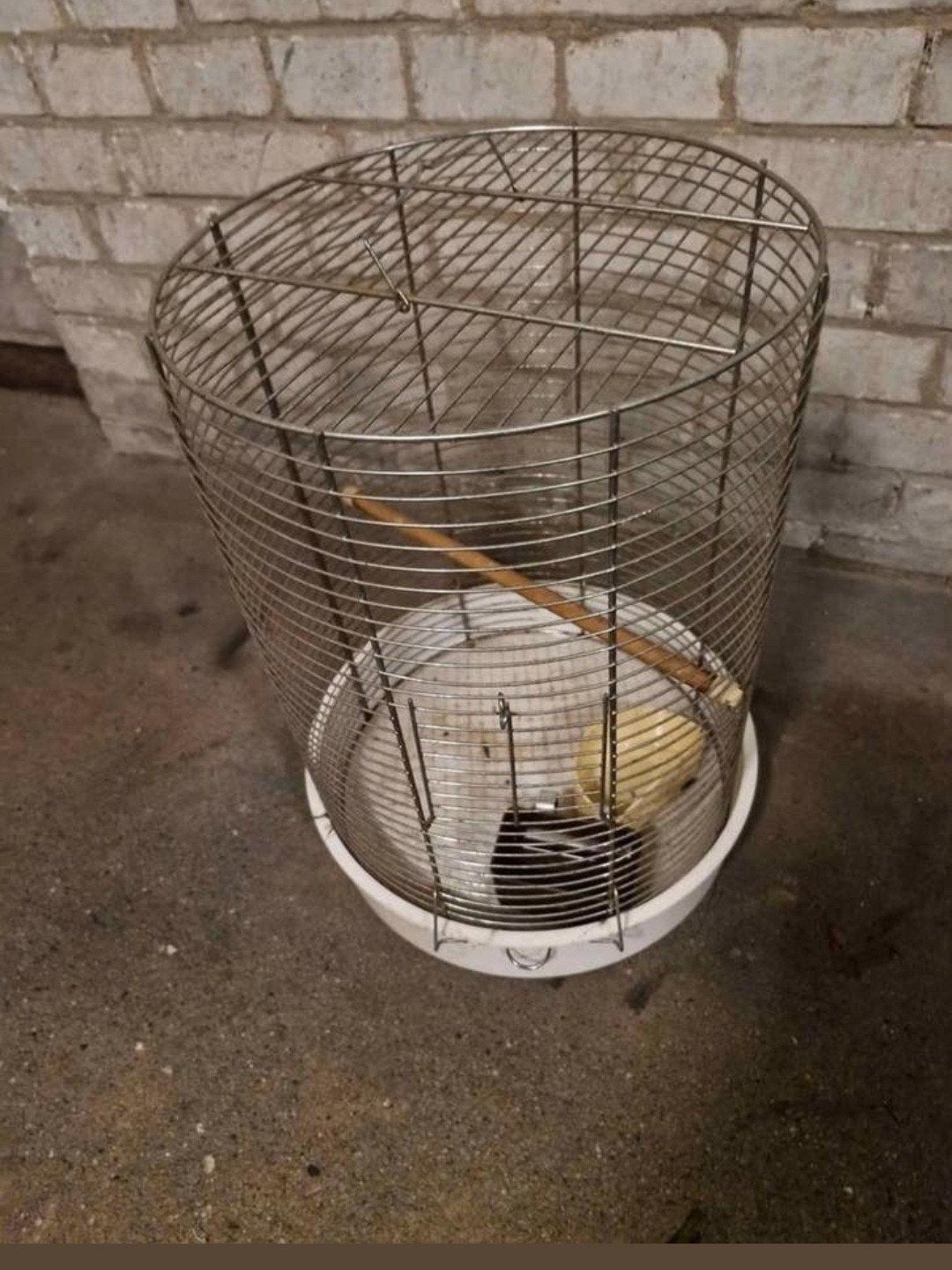 Te koop! Vogel kooi .opbergkooi., Ophalen