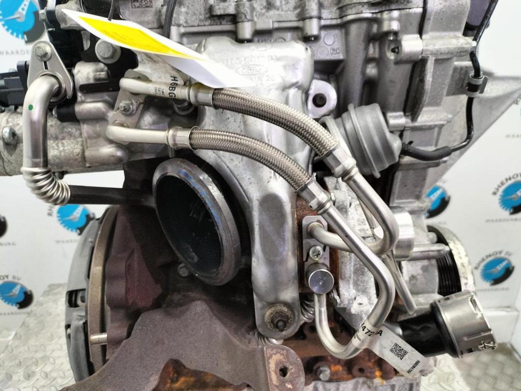 FORD FIESTA TURBO 2021, Ophalen of Verzenden, Gebruikt, Stiba lid