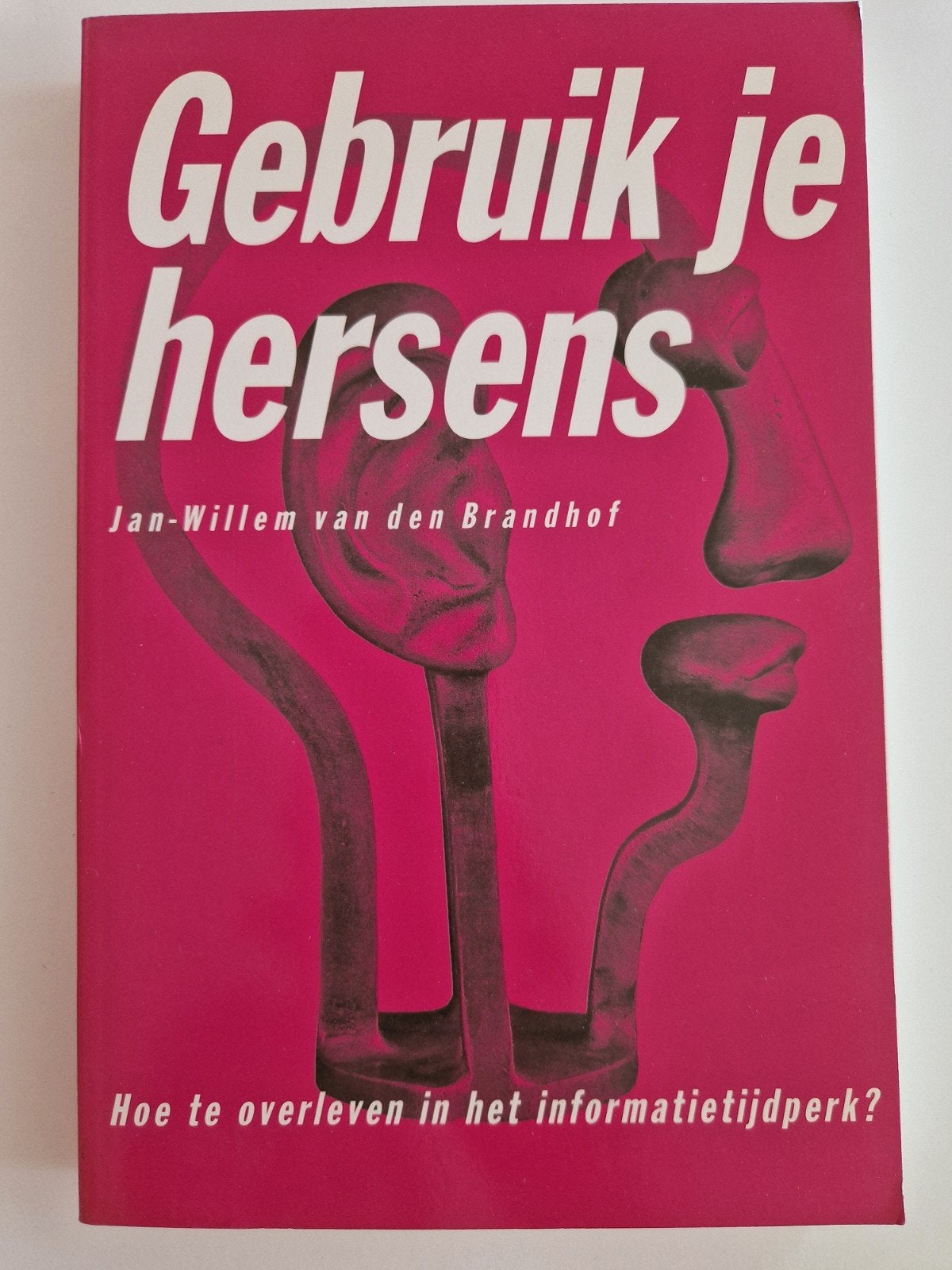 Gebruik je hersens - Jan-Willem van den Brandhof (als nieuw), Boeken, Ophalen of Verzenden, Zo goed als nieuw, Jan-Willem van den Brandhof