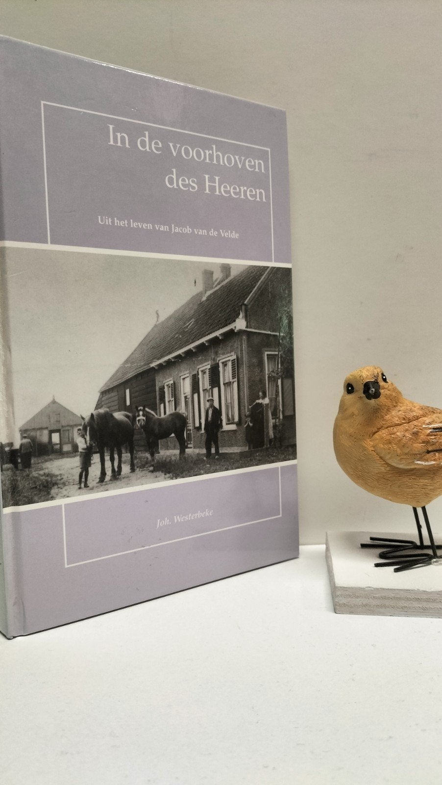Westerbeke, John; In de voorhoven des Heeren, Ophalen of Verzenden, Gelezen, Christendom | Protestants