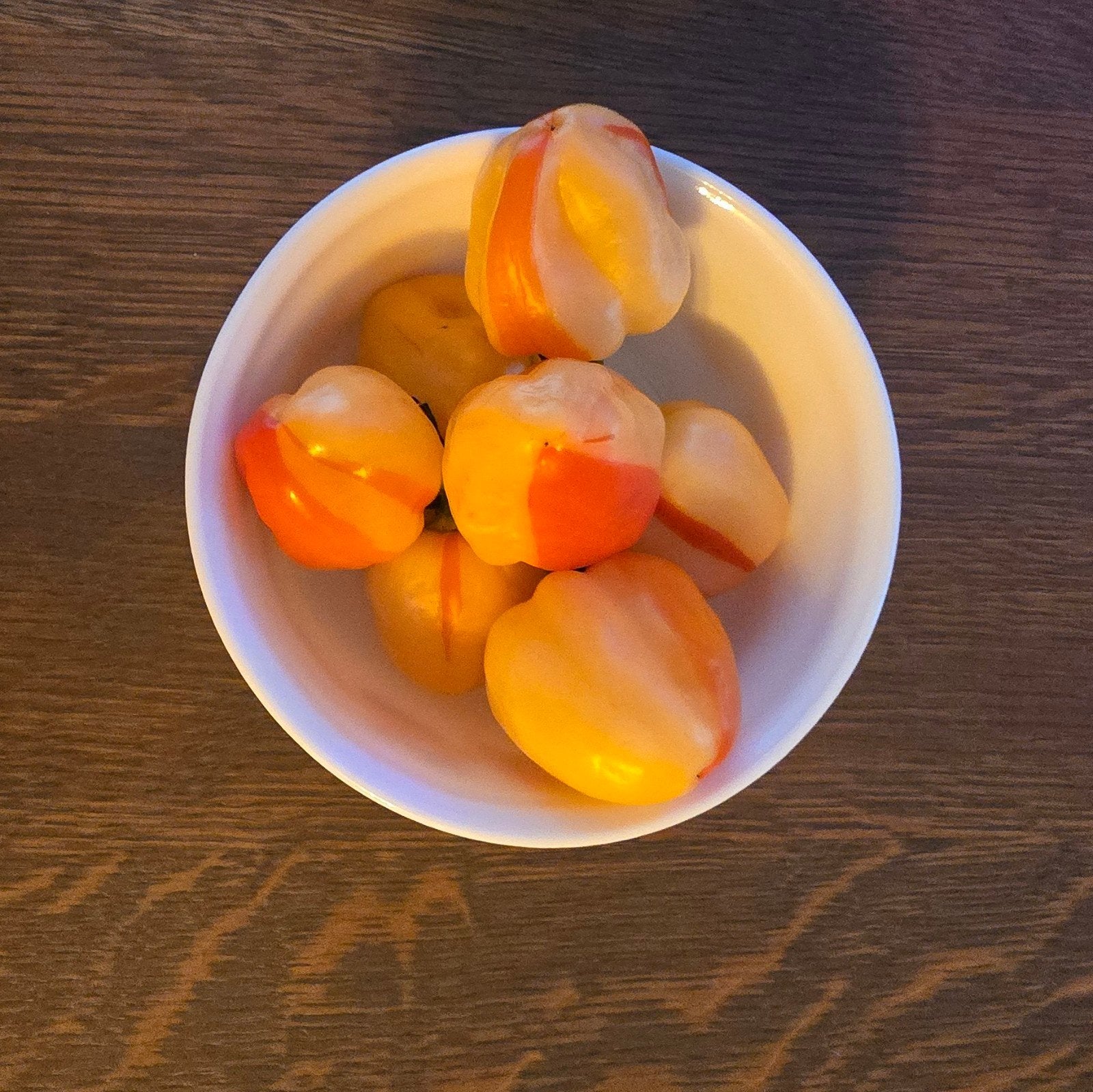 Zaden: Paprika, Peper & Tomaat - Diverse Soorten, Ophalen of Verzenden, Eenjarig, Groenteplanten, Volle zon