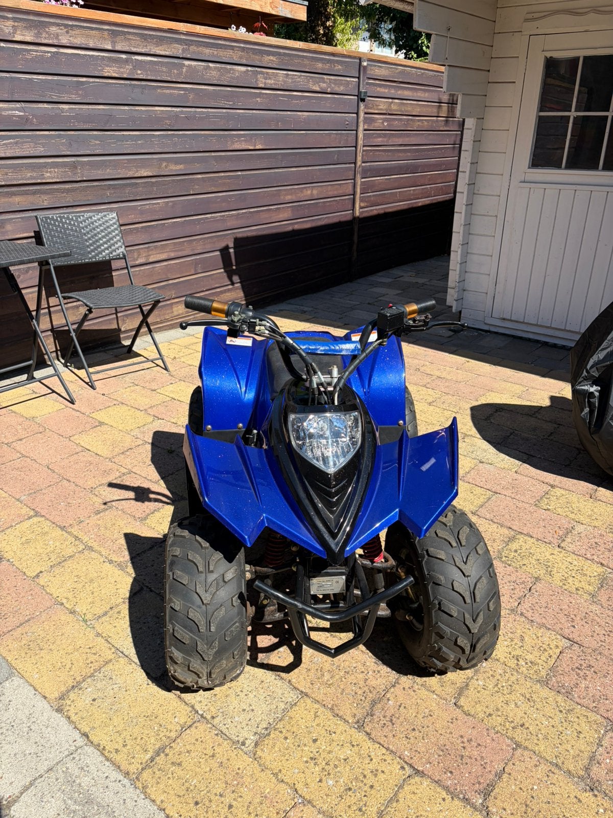 Elektrische quad, Ophalen, Zo goed als nieuw, Overige typen