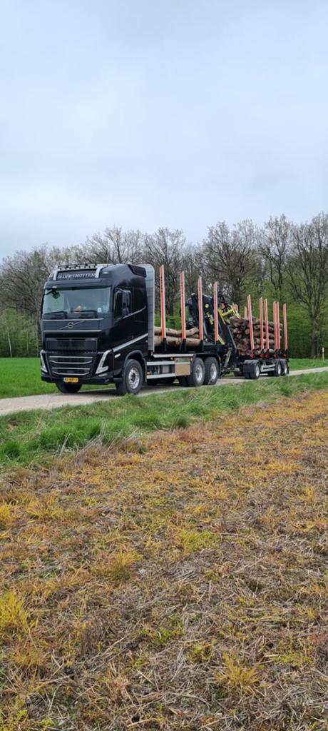 Rondhout transport / Rongen transport / Kraan Transport, Diensten en Vakmensen, Koeriers, Chauffeurs en Taxi's