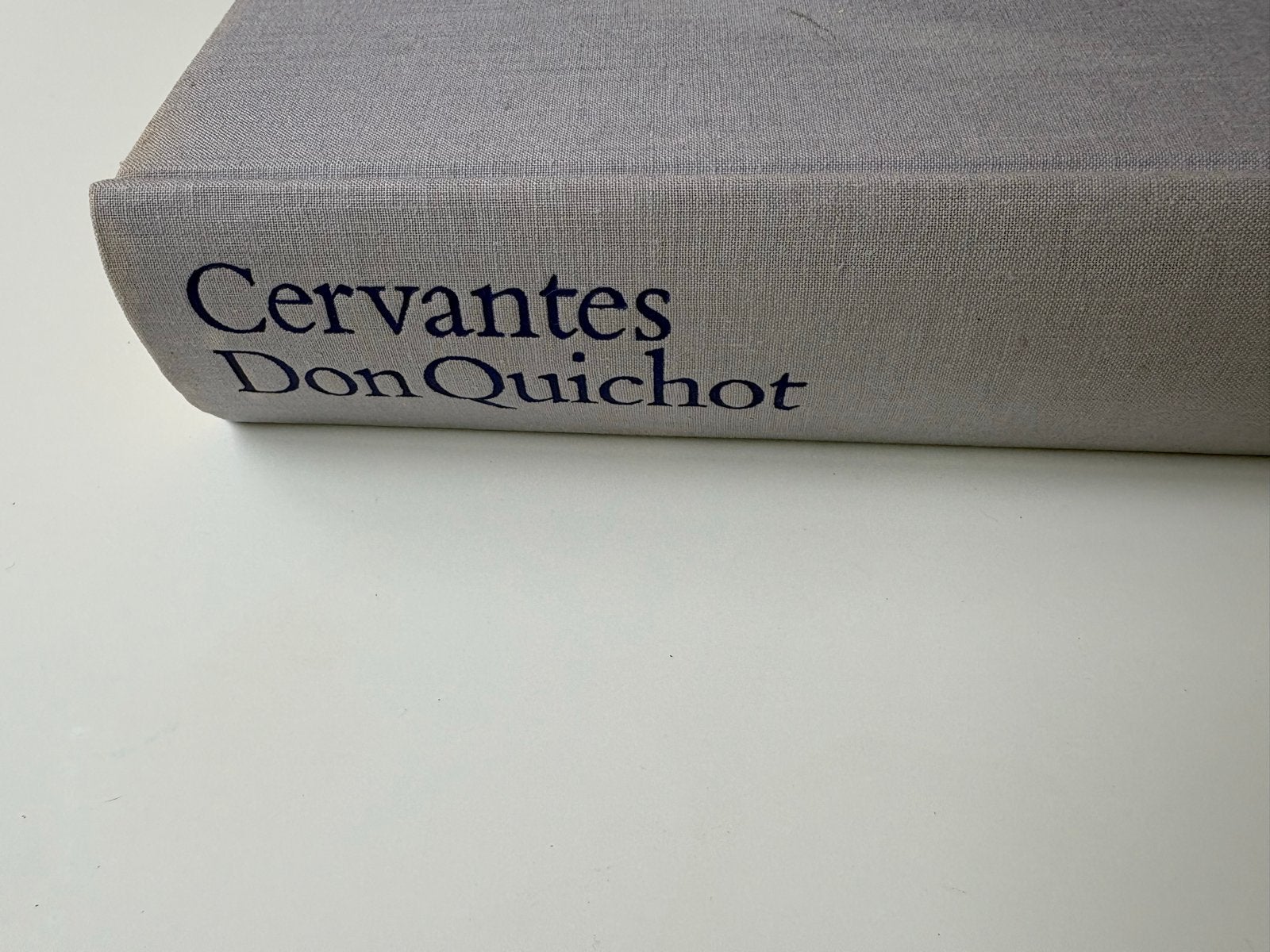 Don Quichot - Cervantes - Geïllustreerd door Gustave Doré, Ophalen of Verzenden, Zo goed als nieuw, Nederland